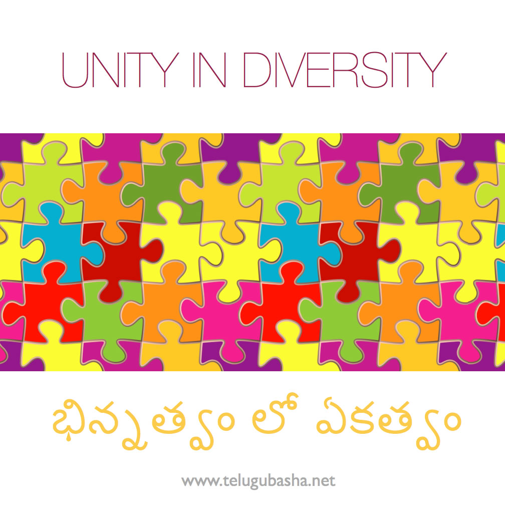 essay on unity in telugu